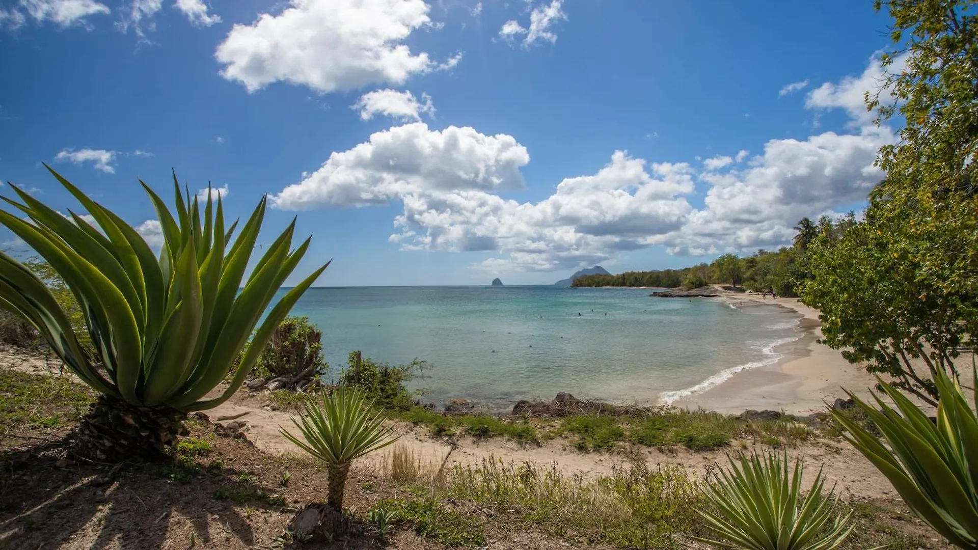 Studio Premium Vue Mer Et Piscine, Residence De Vacances Sainte-Luce Martinique