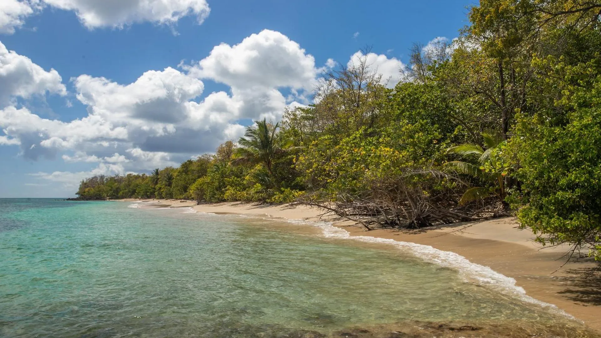 Studio Premium Vue Mer Et Piscine, Residence De Vacances Sainte-Luce Martinique